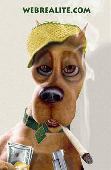 chien friké
