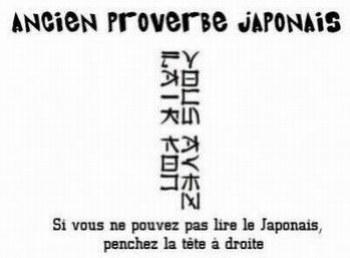 On va voir si vs étes con ou pa